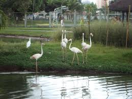 parque de belem para